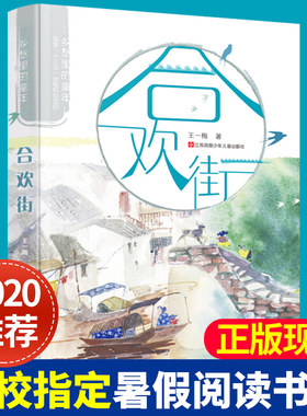 合欢街 乡愁里的童年系列 王一梅 现实主义力作治愈系成长小说202
