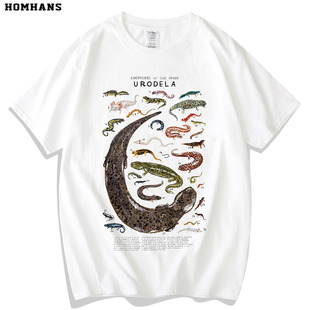 有尾两栖类印花短袖趣味动物百科蝾螈娃娃鱼科教纯棉T恤成人儿童