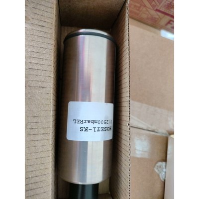 HOPPE 压载探头Hoset1--kS  0/2500mb骏营商贸—议价