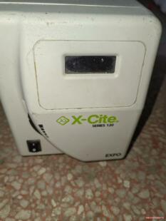 120 SERIES Cite 奥林巴斯荧光 议价商品 EXFO