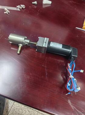 莱默尔DR 1275-03纠偏电机 MAXON 205654