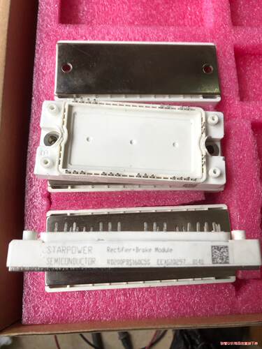 RD200PBS160C5S(议价商品）