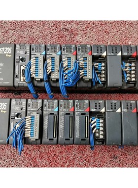 光洋plc dl250-1cpu  拆机所得 带模块骏营商贸—议价
