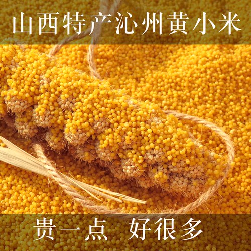 新沁州黄小米山西特产农户直发