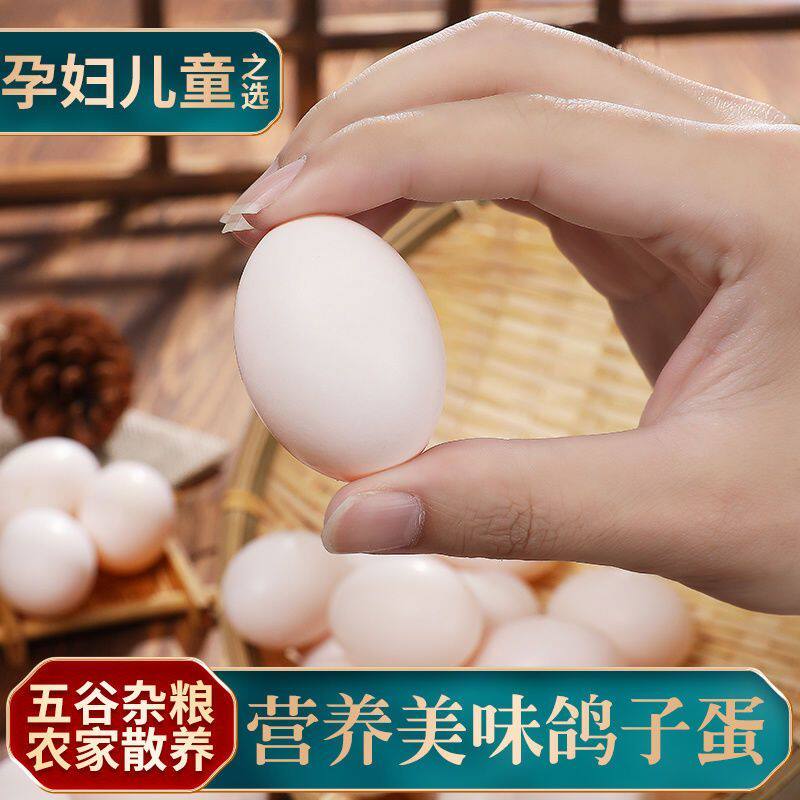 农家散养鸽子蛋新鲜孕妇宝宝辅食老人土鸽子蛋杂粮白鸽蛋包邮30枚