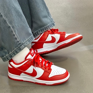 NIKE耐克官方正品男鞋休闲鞋2025冬季新款运动鞋DUNK板鞋HF5441