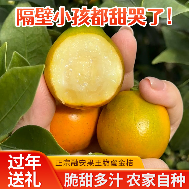 年货送礼优选！融安脆蜜金桔标王级果王无籽脆甜爆汁农家果园直发,水产肉类/新鲜蔬果/熟食,桔子,淘宝优惠券,粉丝福利购,淘宝优惠卷