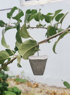苹果树柑橘拉枝定型开角器