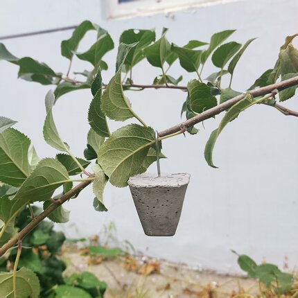 苹果树坠枝器定型器拉枝器弯枝器开角器柑橘压枝拨枝别枝器开角器