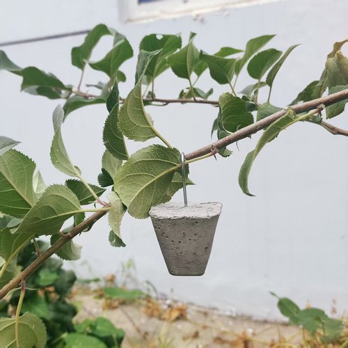 苹果树坠枝器定型器拉枝器弯枝器开角器柑橘压枝拨枝别枝器开角器