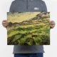 Вино красное e82 van gogh green weath field