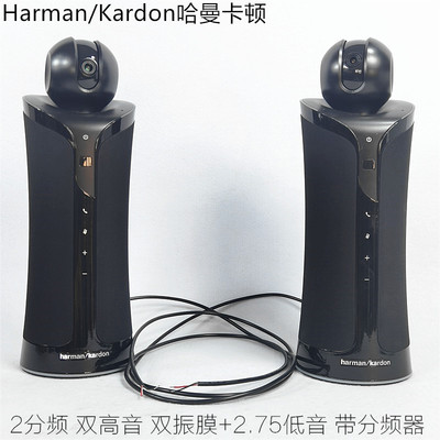 反射锥双钕磁丝膜高音双低音振膜