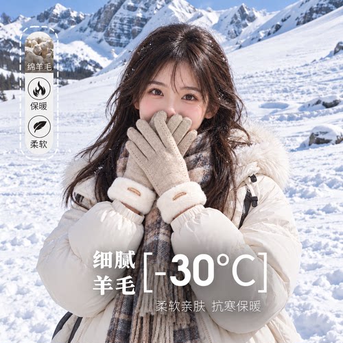 防风加绒保暖触屏羊毛手套女