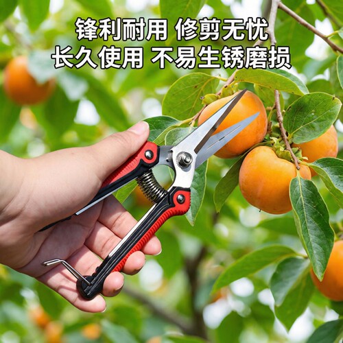 园林剪刀剪树枝专用剪刀修枝剪果树剪花修枝剪套装园艺剪子神器