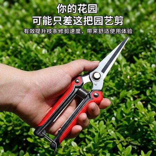 修枝剪省力粗枝果树盆景造型剪刀