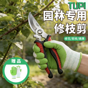 日本进口SK5园艺剪刀粗枝剪树枝专用果树修枝修花艺花剪园林剪枝