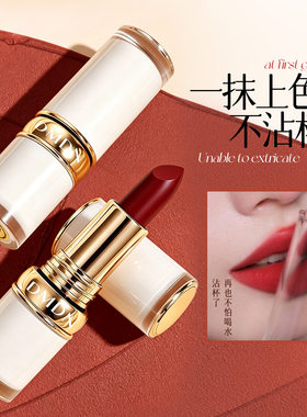 dmdn丝滑不沾杯口红防水持久丝绒哑光不拔干女口红不掉色不粘杯