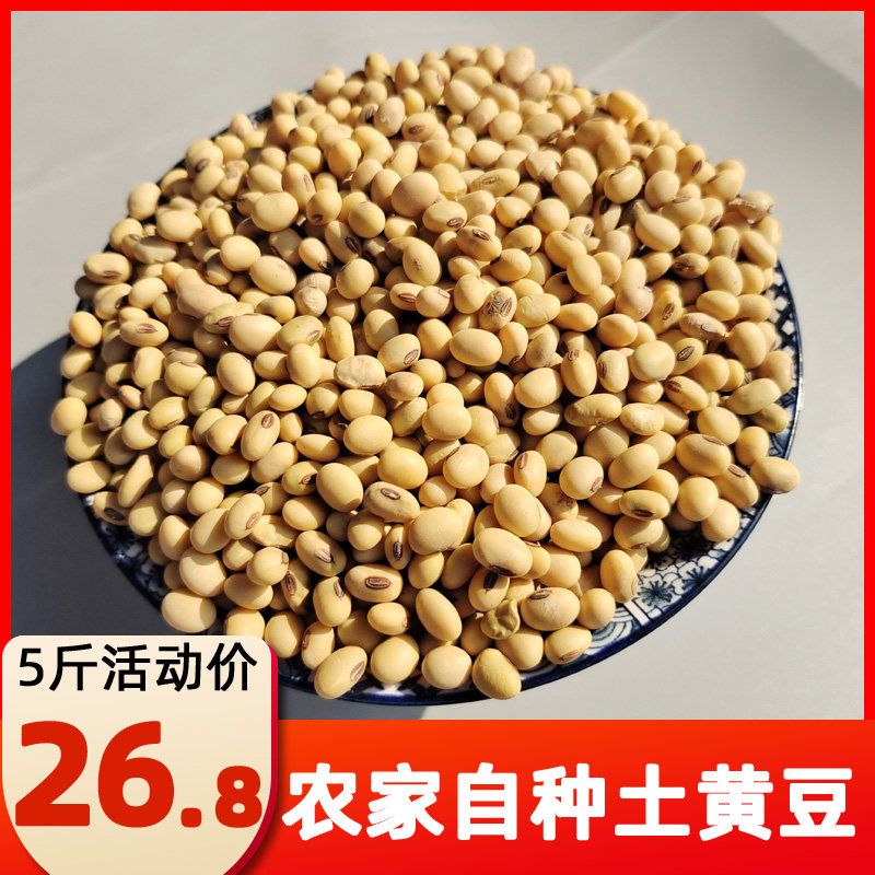 2025重庆特产椭圆形笨黄豆老黄豆