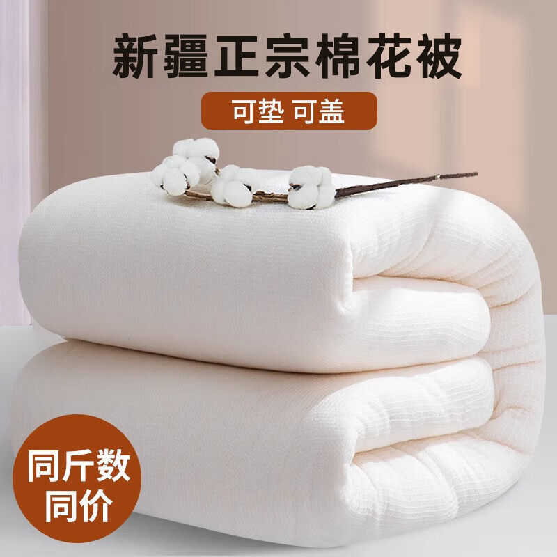 2025新款鱼鳞网新疆棉花被学生宿舍加厚冬被春秋被芯棉絮床垫被子,床上用品,棉花被,淘宝优惠券,粉丝福利购,淘宝优惠卷