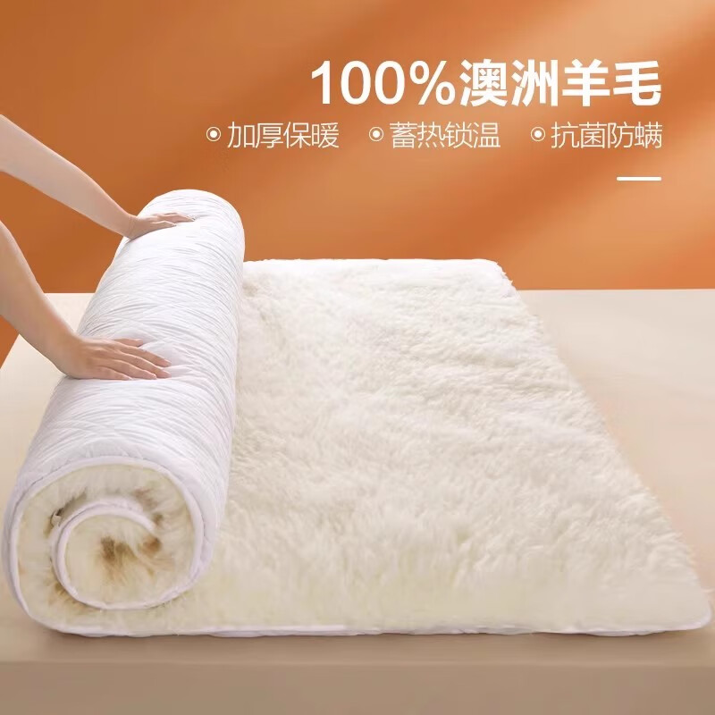 澳洲纯羊毛床垫软垫防潮绒毯冬季加厚保暖羊羔绒褥子学生垫被铺底