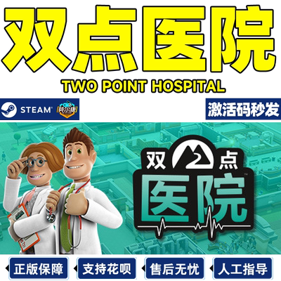 steam双点医院自动发货游戏激活