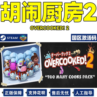 steam 龙之信条2 国区cdkey激活码 Dragon's Dogma 2 PC中文正版游戏 现货秒发