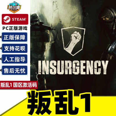 Steam 叛乱1 Insurgency 国区激活码CDKEY 正版PC游戏 现货秒发
