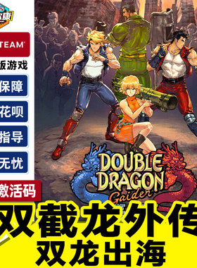 Steam正版PC中文游戏 双截龙外传 双龙出海 国区激活码cdk Double Dragon Gaiden: Rise of the Dragons