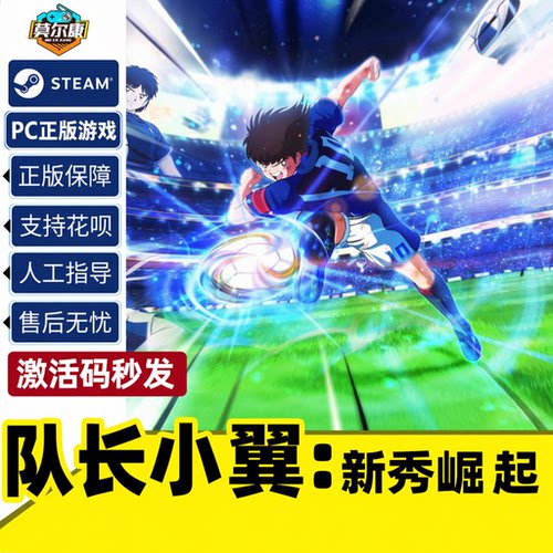 pc中文steam正版队长新秀崛起