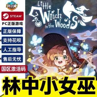 国区 游戏 CDKey the Witch 激活码 Little PC中文正版 steam Woods 林中小女巫