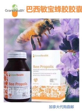 巴西敏宝蜂胶胶囊Grand Health加拿大代购直邮天然Bee Propolis