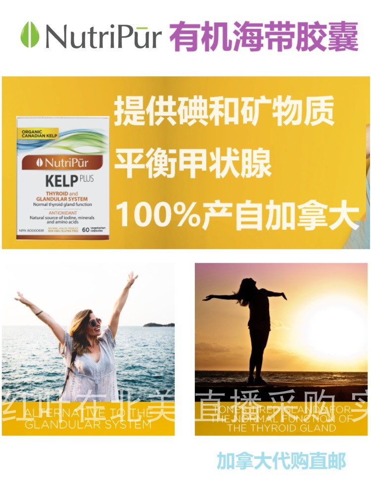 加拿大直邮保健品代购碘元素海带