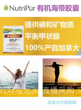有机海带胶囊Nutripur加拿大代购直邮KELP补充碘元素补碘