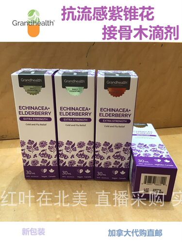 加拿大直邮紫锥花代购接骨木