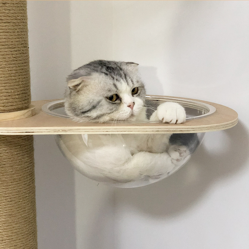 实木太空舱液压杆升级猫窝架