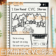 cvc read stories自然拼读故事短文阅读练习涂色本phonics can