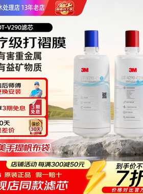 3M净水器DT-V290专用滤芯 通用 DWS2000T-CN滤芯