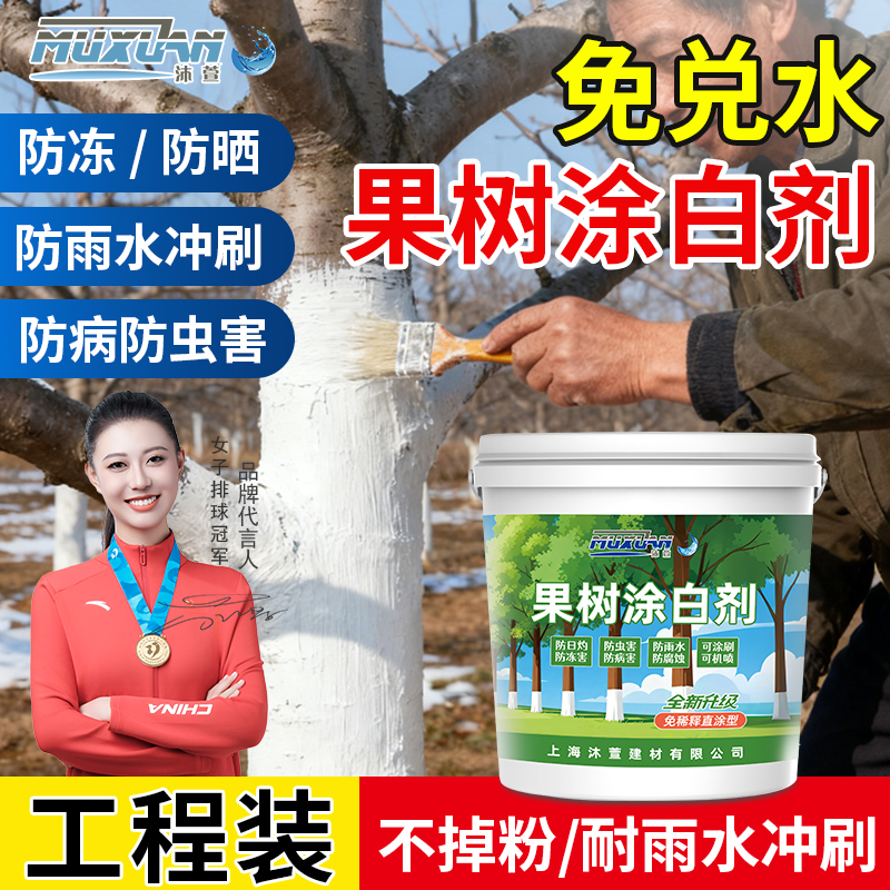 果树涂白剂免兑水直刷工程装大桶用于户外树木树干抗寒防冻害日灼