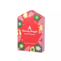 [Full Box] Christmas Calendar Gift Box for 13 Babies