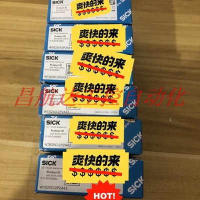 议价 SICK西克光电WTB250-2P2441 全新 说 明书附件齐全