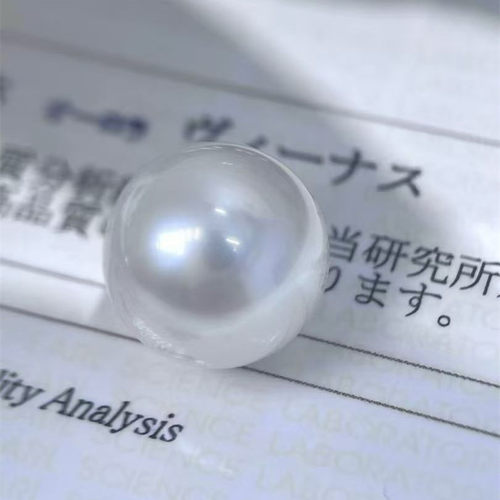 18K金南洋海水澳白珍珠耳钉定制
