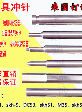 模具配件SKD11冲针冲头 T冲skh51冲针A冲 顶针顶杆不锈钢非标定做