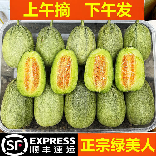 正宗绿美人甜瓜！巨甜！顺丰！