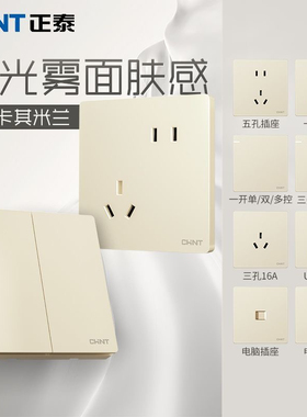 正泰法式奶油风哑光肤感8616A开关插座五孔10A面板暗装6R米兰黄色