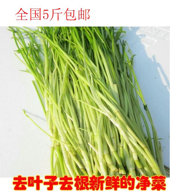宝应特产农产品新鲜野水芹菜无叶无根静菜饭店用2斤江浙沪包邮