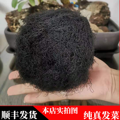 照常发货顺丰包邮海特级洗头