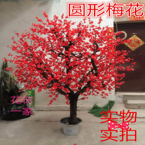 盆景桃树销量排行榜 盆景桃树品牌热度排名 小麦优选