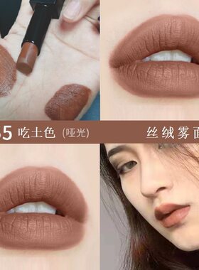 吃土色欧美风格丝绒口红