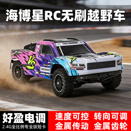 短卡RC遥控车专业海博星3101a