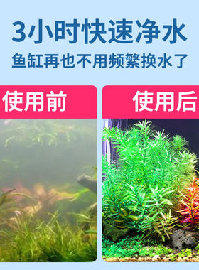 不含水泵套餐鱼缸过滤器养鱼循环
